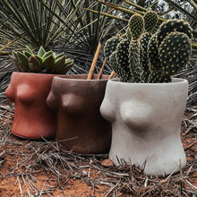 Load image into Gallery viewer, Boobie Planter | Wholesale