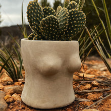 Load image into Gallery viewer, Boobie Planter | Wholesale