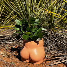 Load image into Gallery viewer, Cheeky Planter | Wholesale