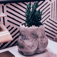 Load image into Gallery viewer, Cheeky Planter | Wholesale
