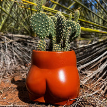 Load image into Gallery viewer, Cheeky Planter | Wholesale