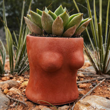 Load image into Gallery viewer, Boobie Planter | Wholesale