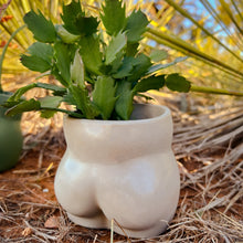 Load image into Gallery viewer, Cheeky Planter