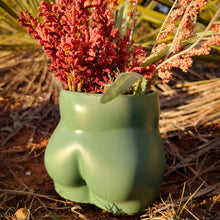 Load image into Gallery viewer, Cheeky Planter