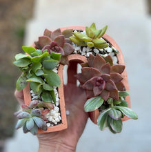Load image into Gallery viewer, Rainbow Concrete Planter
