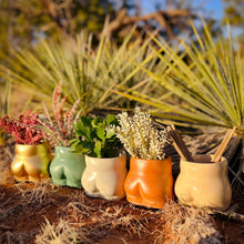 Load image into Gallery viewer, Cheeky Planter