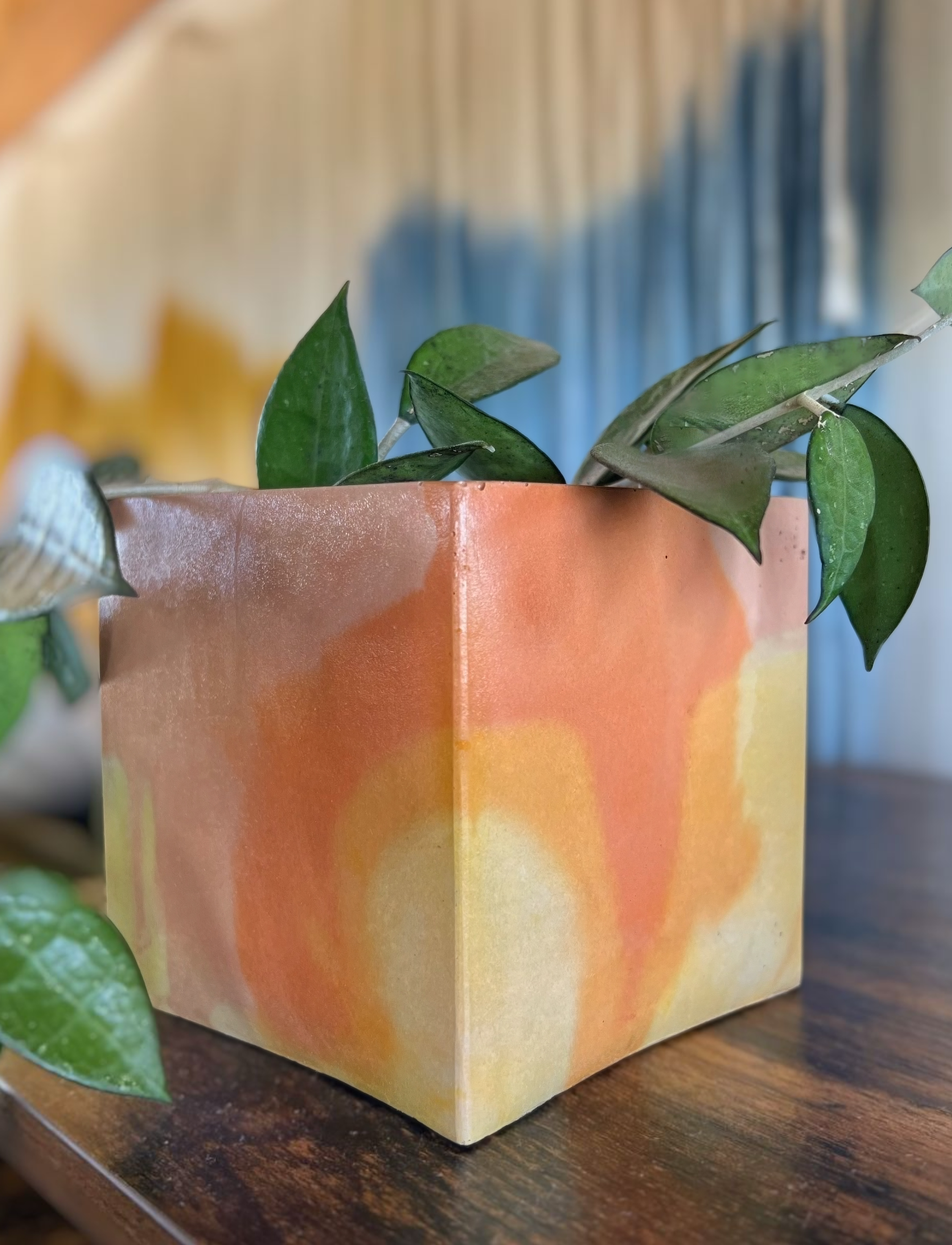 Concrete Planters & More