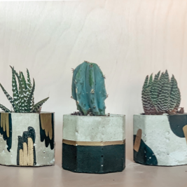 Black & Gold Collection