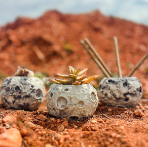 Moon Concrete Planter