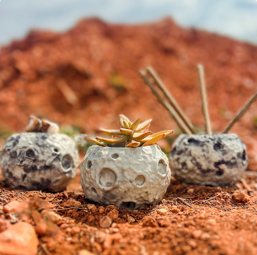 Moon Concrete Planter