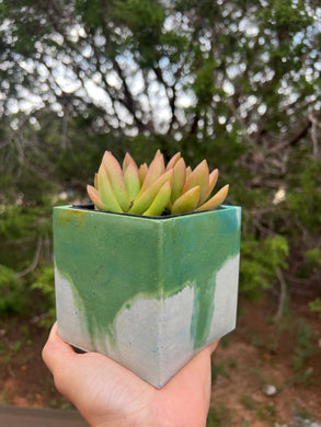 4” square concrete planter with green drip look