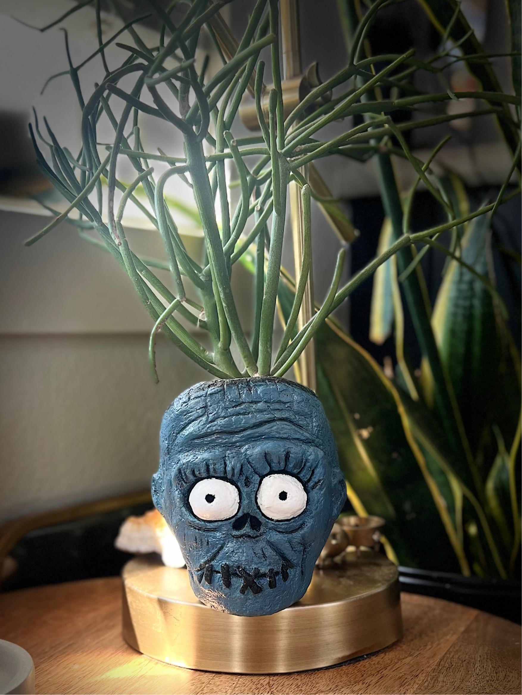 Shrunken Head Concrete Planter