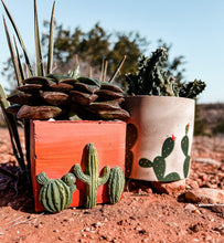 Load image into Gallery viewer, Desert Sky Square Cement Planter | Wholesale
