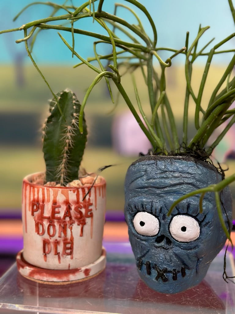 Shrunken Head Concrete Planter