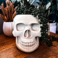 5.5" White Large Skull Concrete Planter