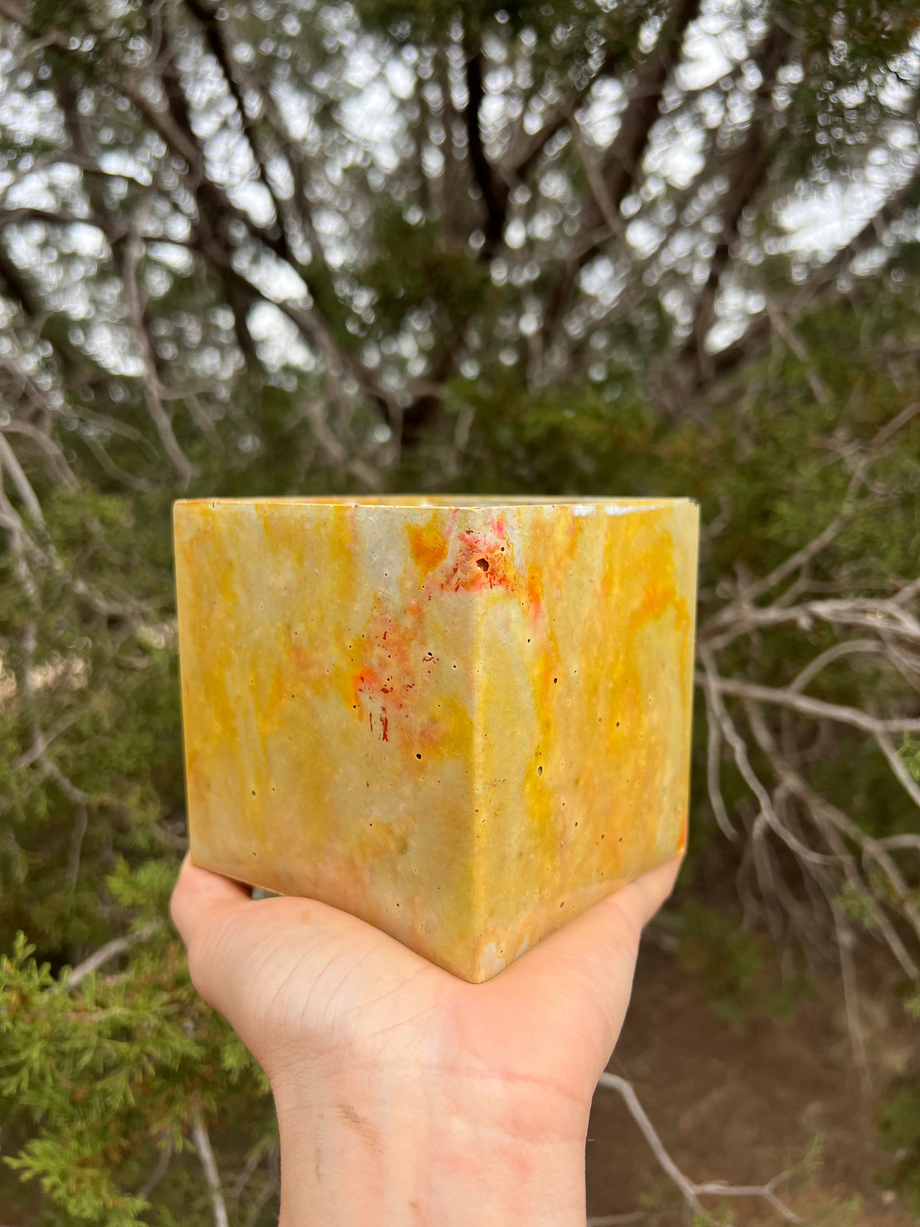 4” Sunny Side Square Concrete Planter