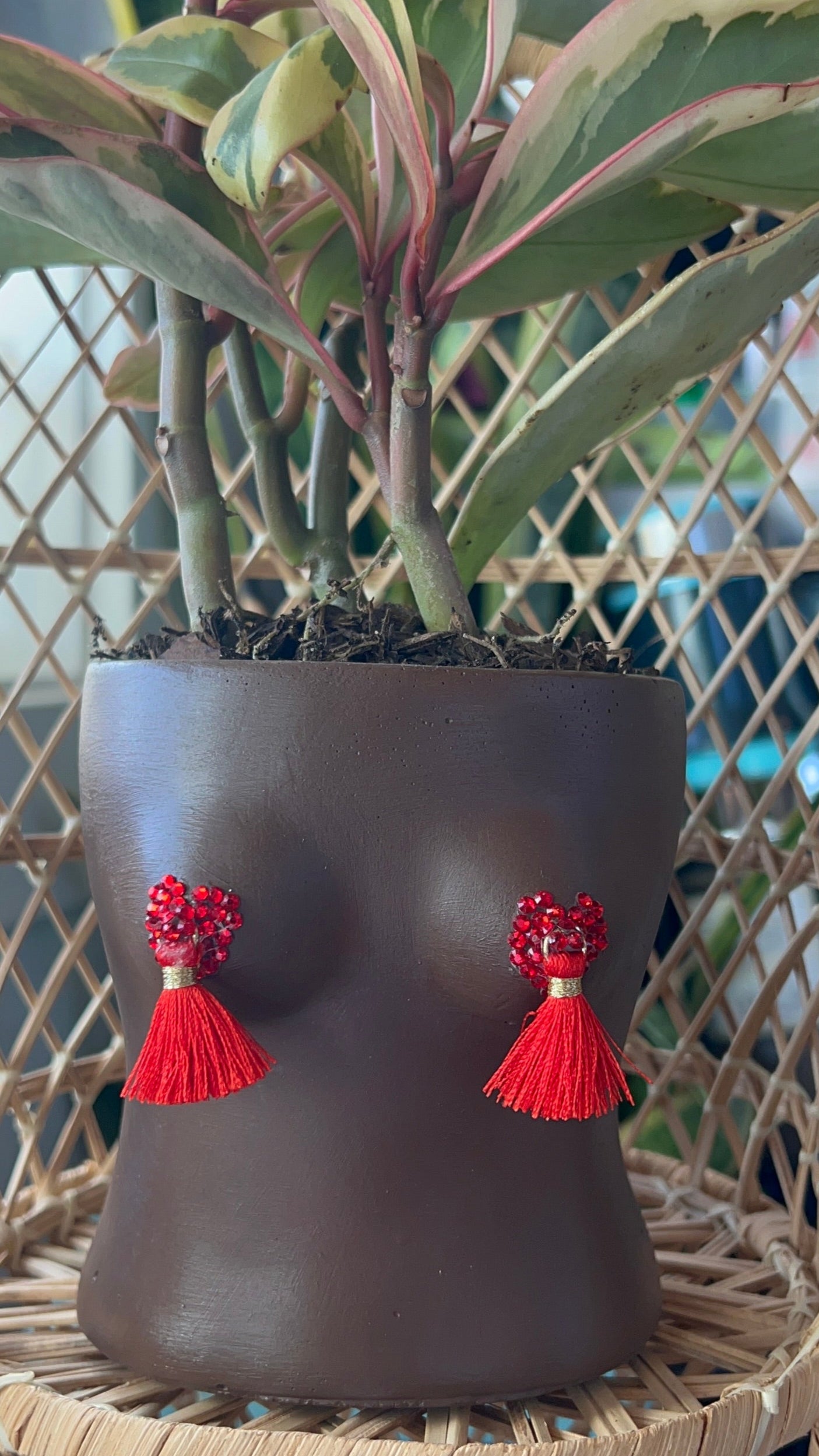 boobie planter Boobie Tassel Concrete Planter – Resting Plant Face