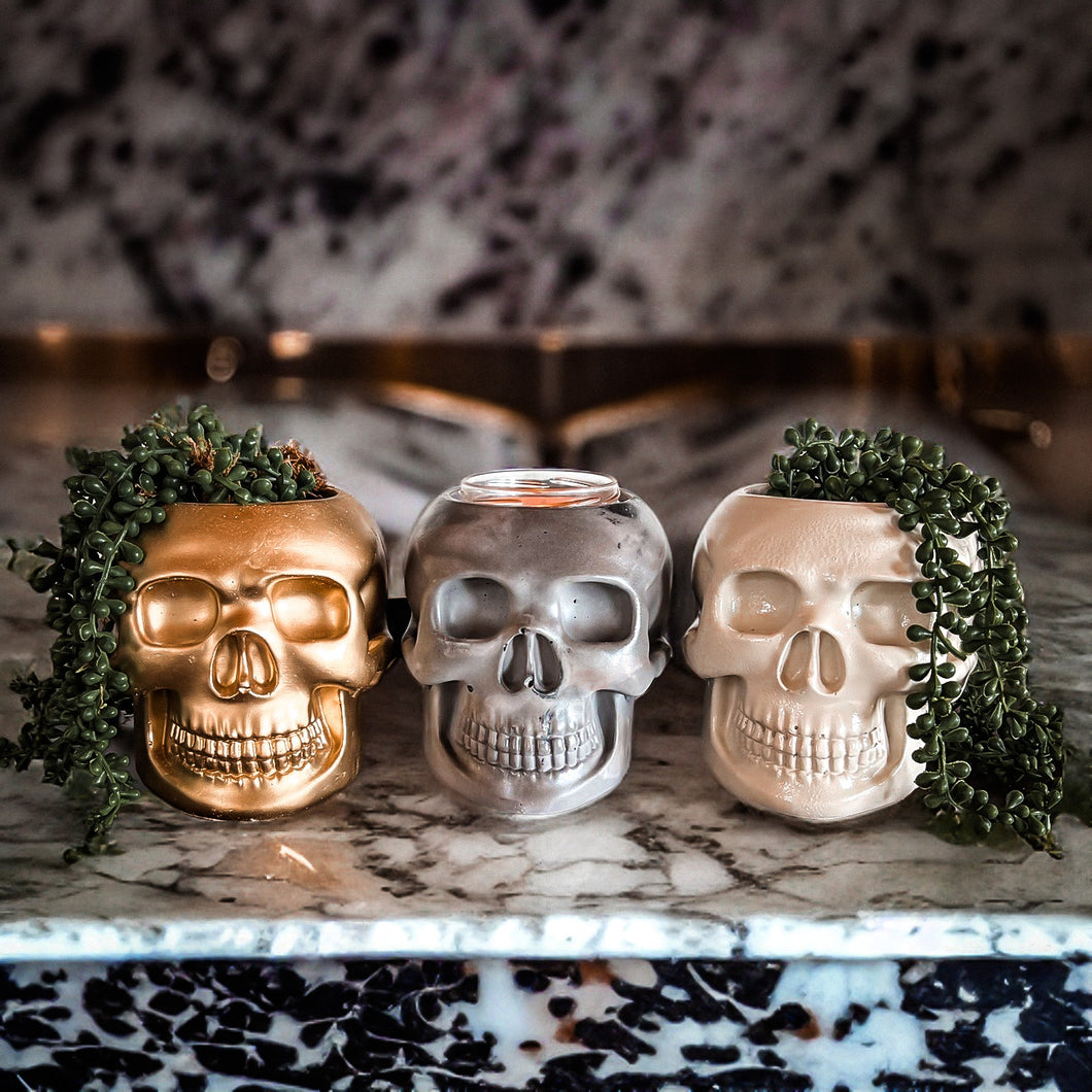 Large Skull Concrete Planter