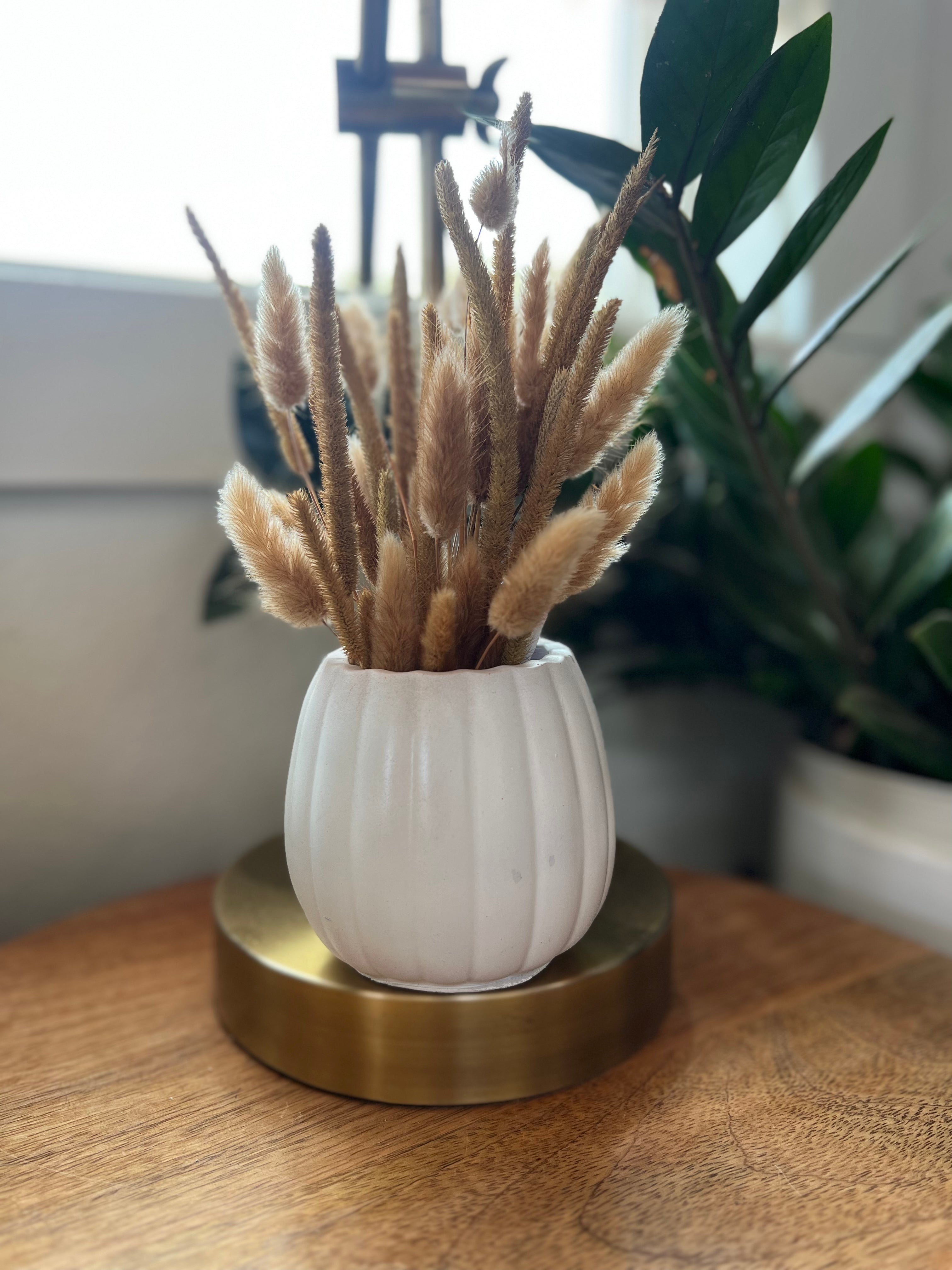 Pumpkin Concrete Planter