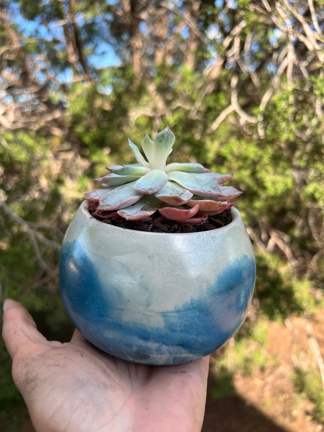 3.5” Ocean Blue Concrete Planter