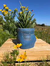 Load image into Gallery viewer, Blue Jean Cheeky Planter
