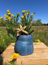 Load image into Gallery viewer, Blue Jean Cheeky Planter

