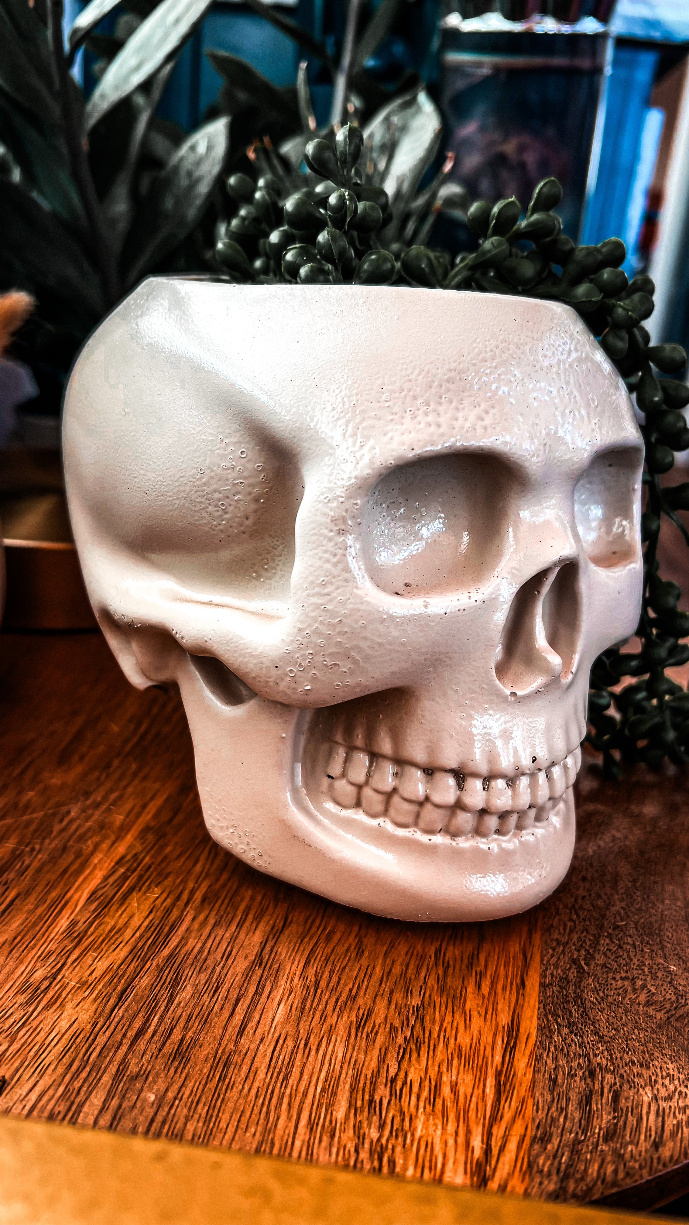Large Skull Concrete Planter