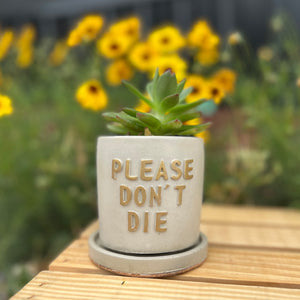 Please Don’t Die Concrete Planter | Wholesale
