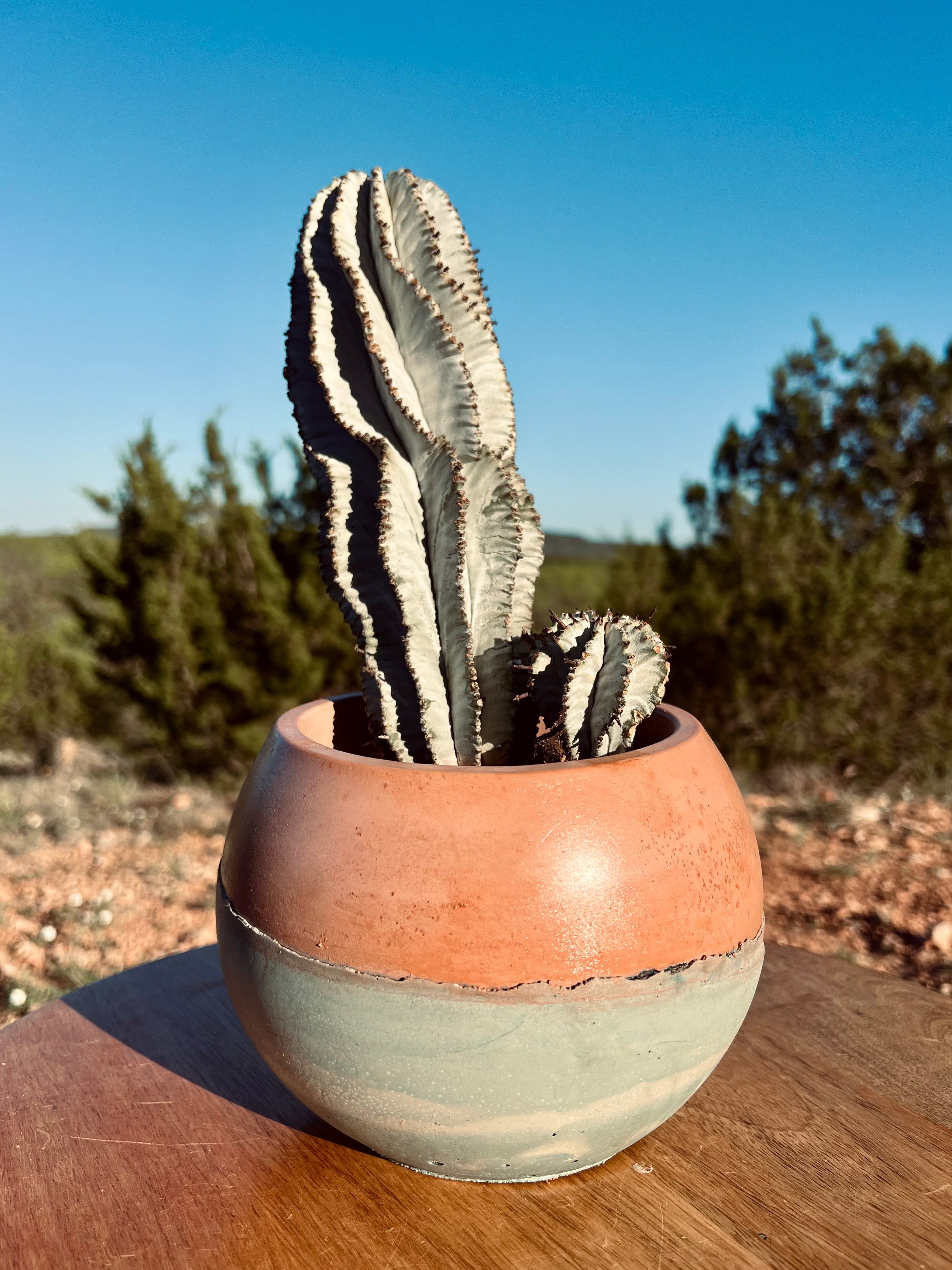 5.5” Teal & Terracotta Concrete Globe Planter