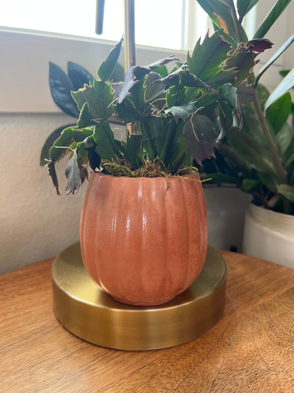 Pumpkin Concrete Planter