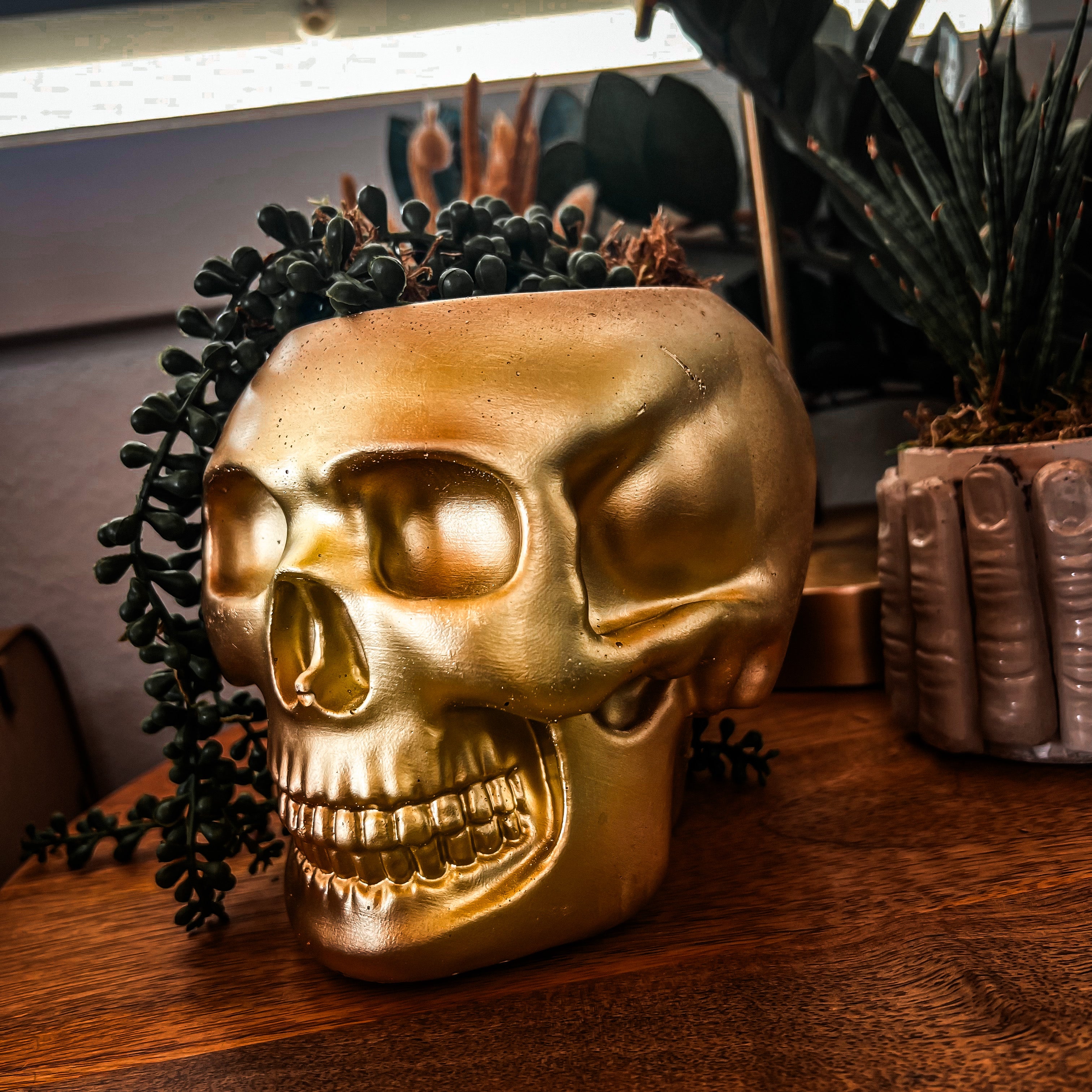 Large Skull Concrete Planter