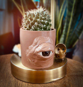 Cyclops Concrete Planter