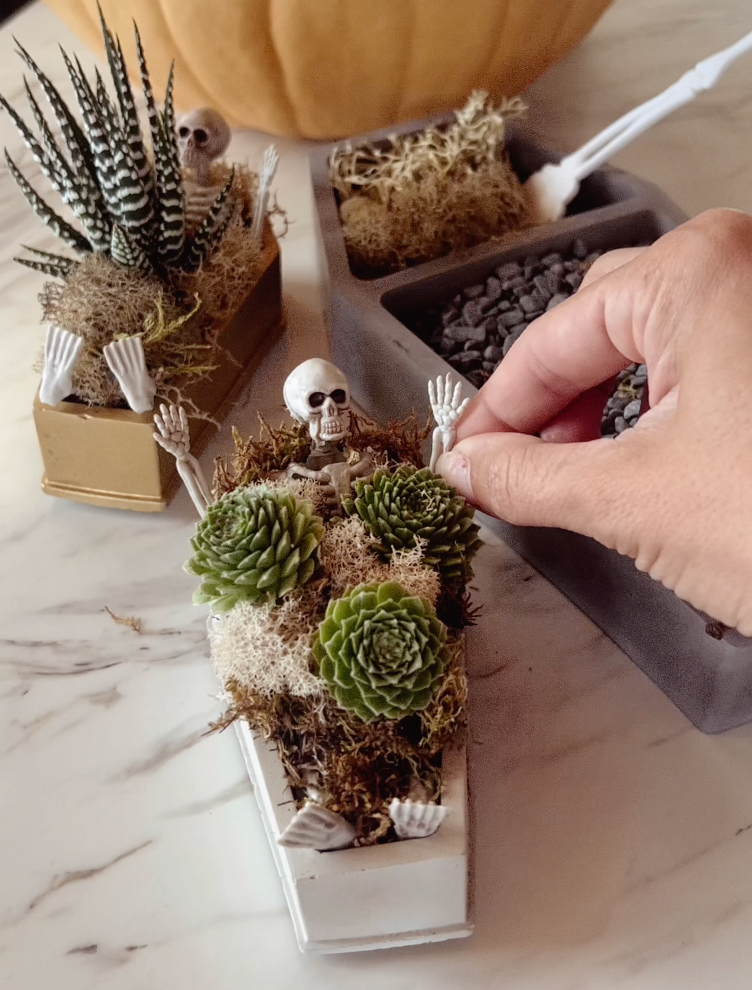 Create a Skeleton Coffin Planter Workshop