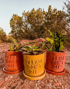 Please Don’t Die Concrete Planter | Wholesale