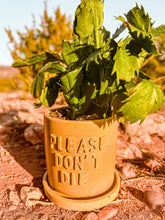 Load image into Gallery viewer, Please Don’t Die Concrete Planter | Wholesale
