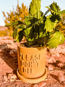 Please Don’t Die Concrete Planter | Wholesale