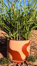 Load image into Gallery viewer, Groovy Desert Round Concrete Planter | Wholesale
