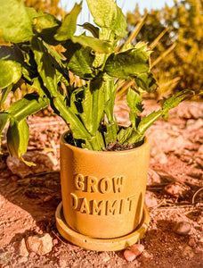 Grow Dammit Concrete Planter | Wholesale