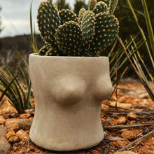 Load image into Gallery viewer, Boobie Planter | Wholesale
