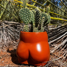 Load image into Gallery viewer, Cheeky Planter | Wholesale
