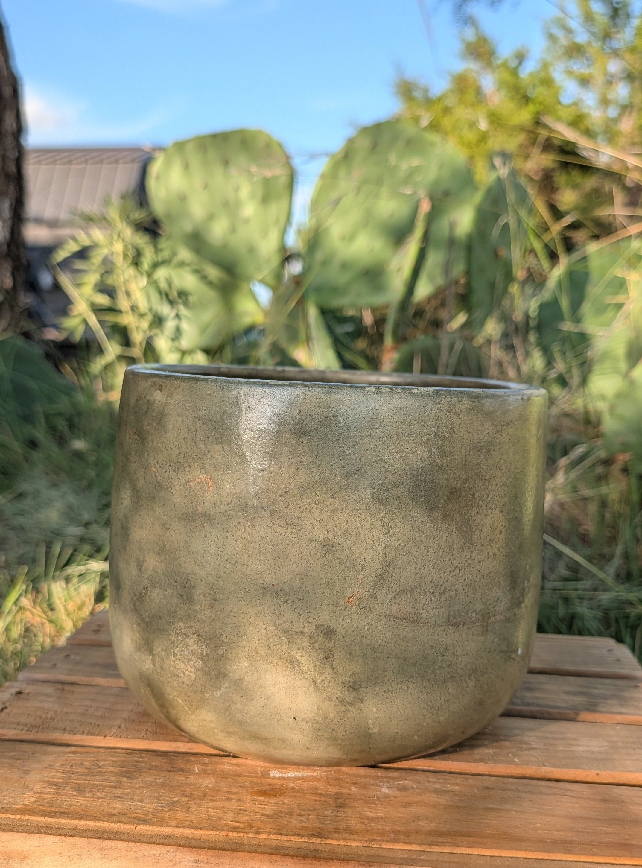 6” Terra Landing Round Concrete Planter