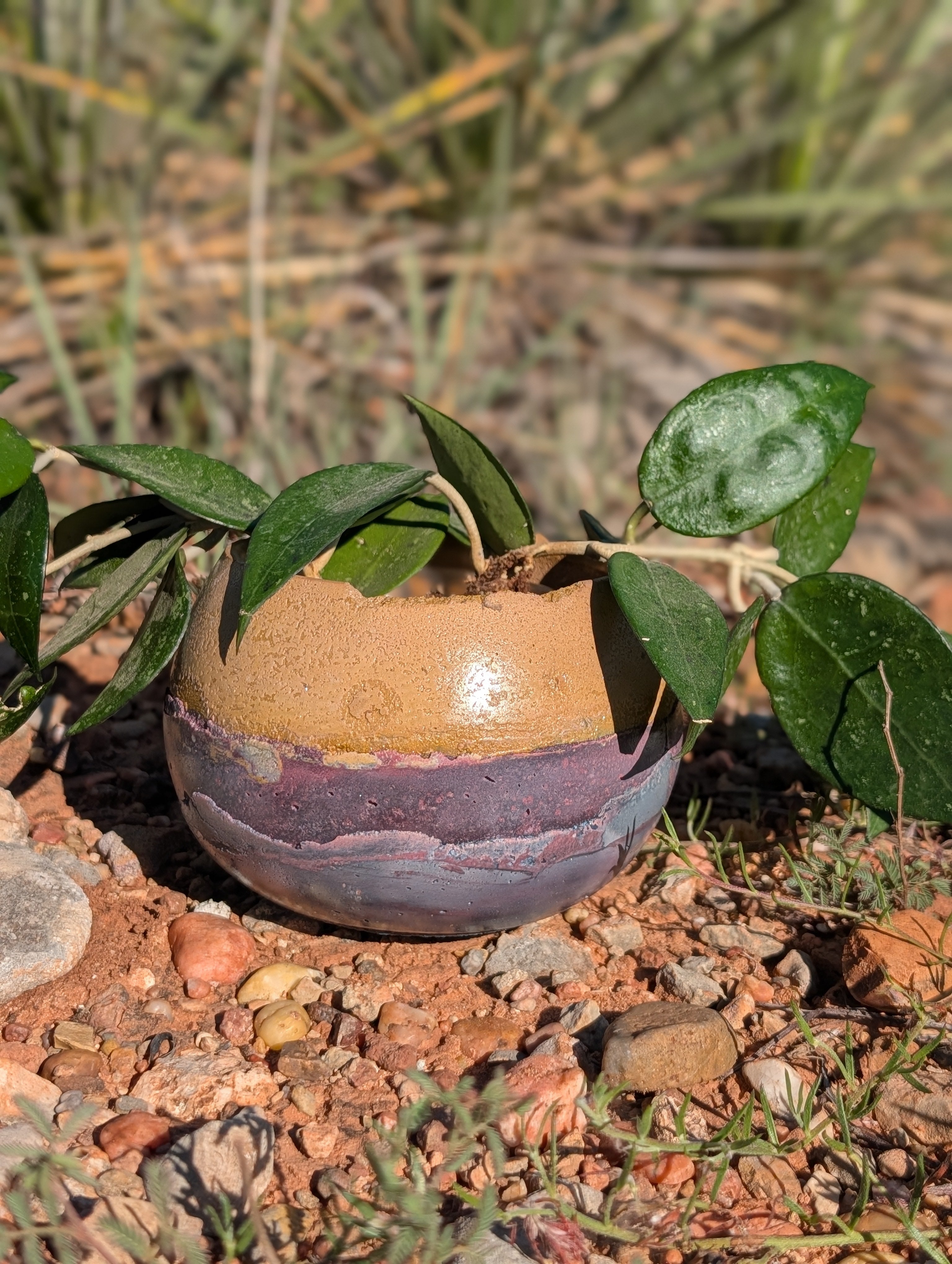 3.25” Purple Sands Concrete Globe Planter
