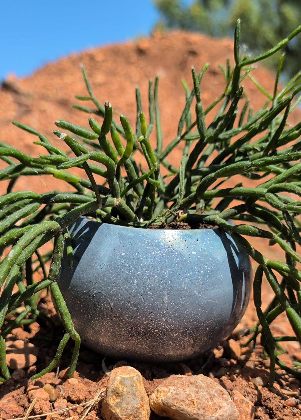 3.25” Night Sky Globe Concrete Pot