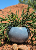 3.25” Night Sky Globe Concrete Pot