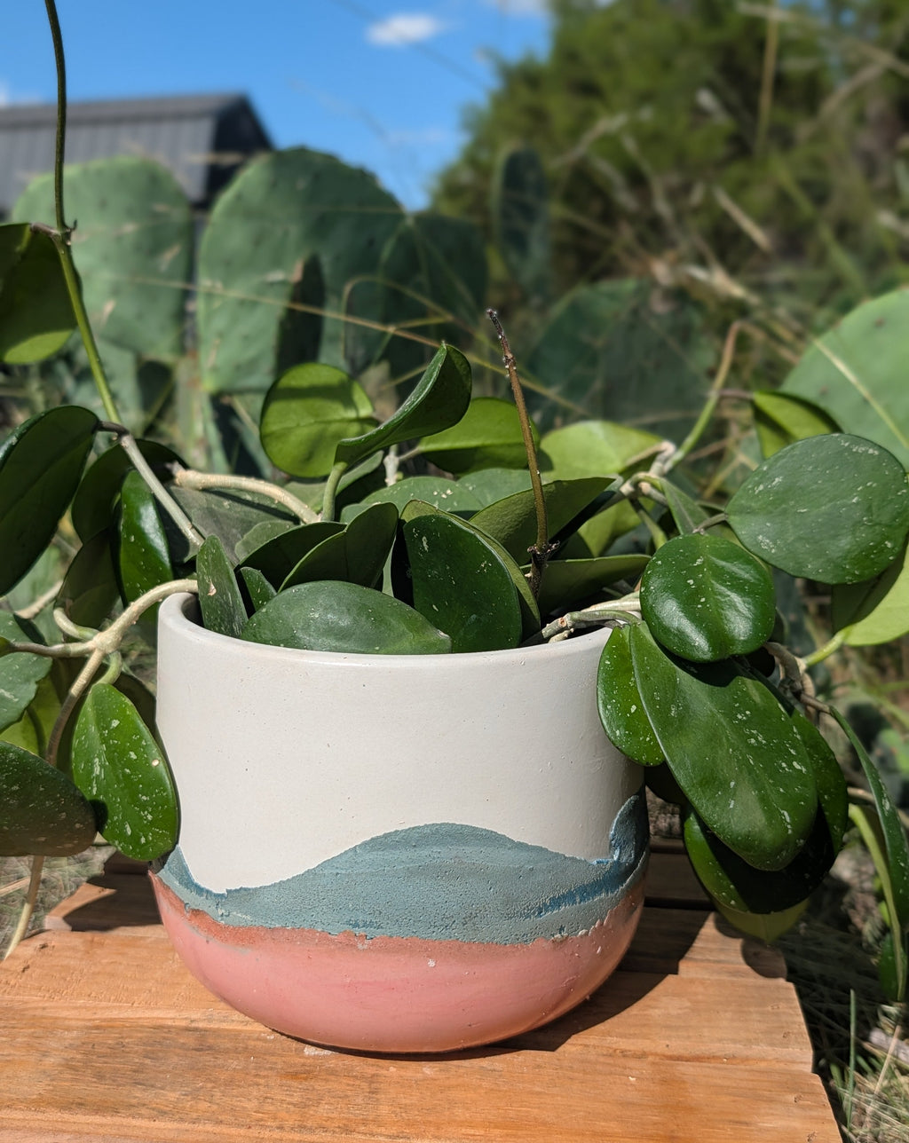 6” Terra Landing Round Concrete Planter
