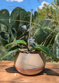 3.25” Terra Landing Concrete Globe Planter