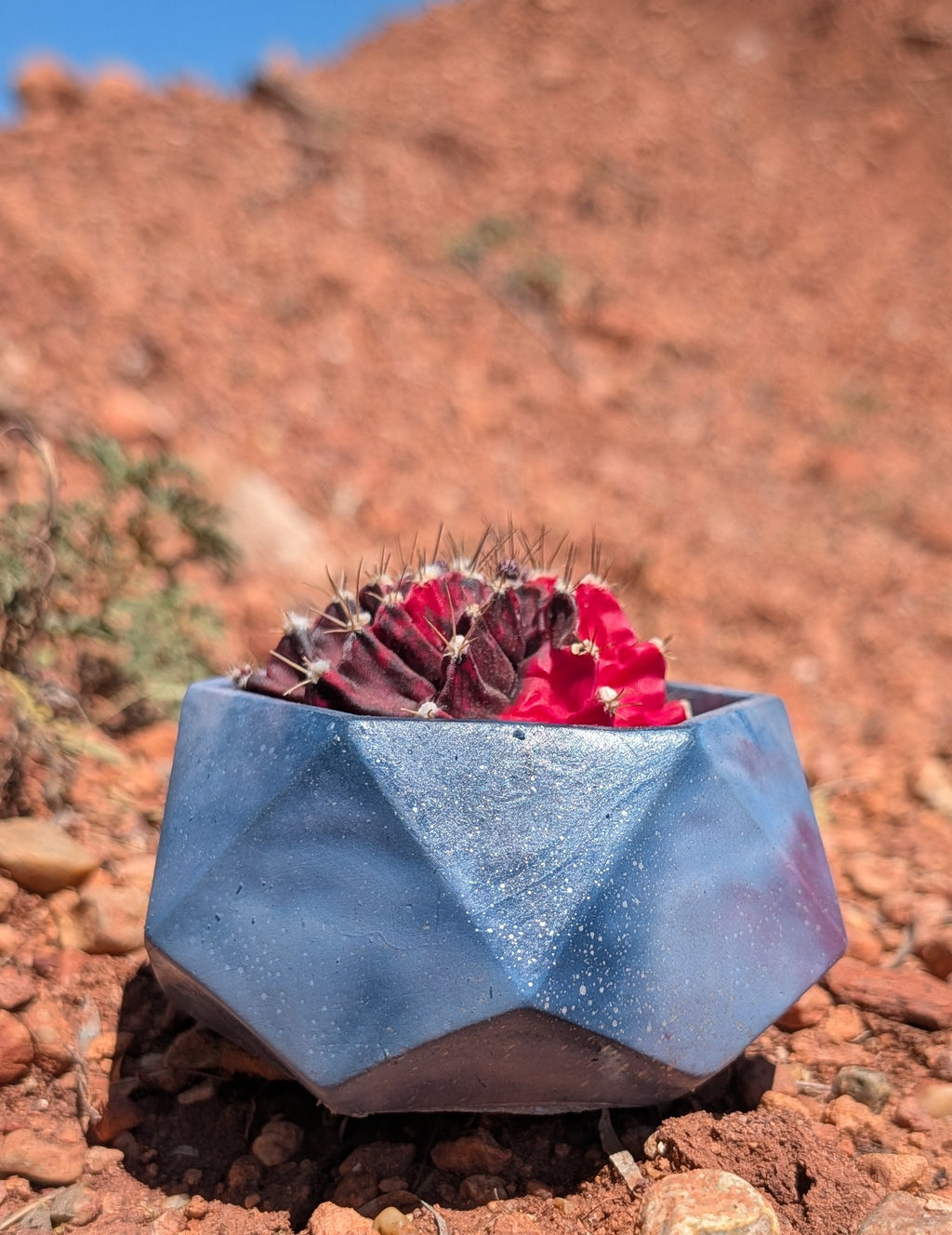 3”x2” Galaxy Hexagon Concrete Planter
