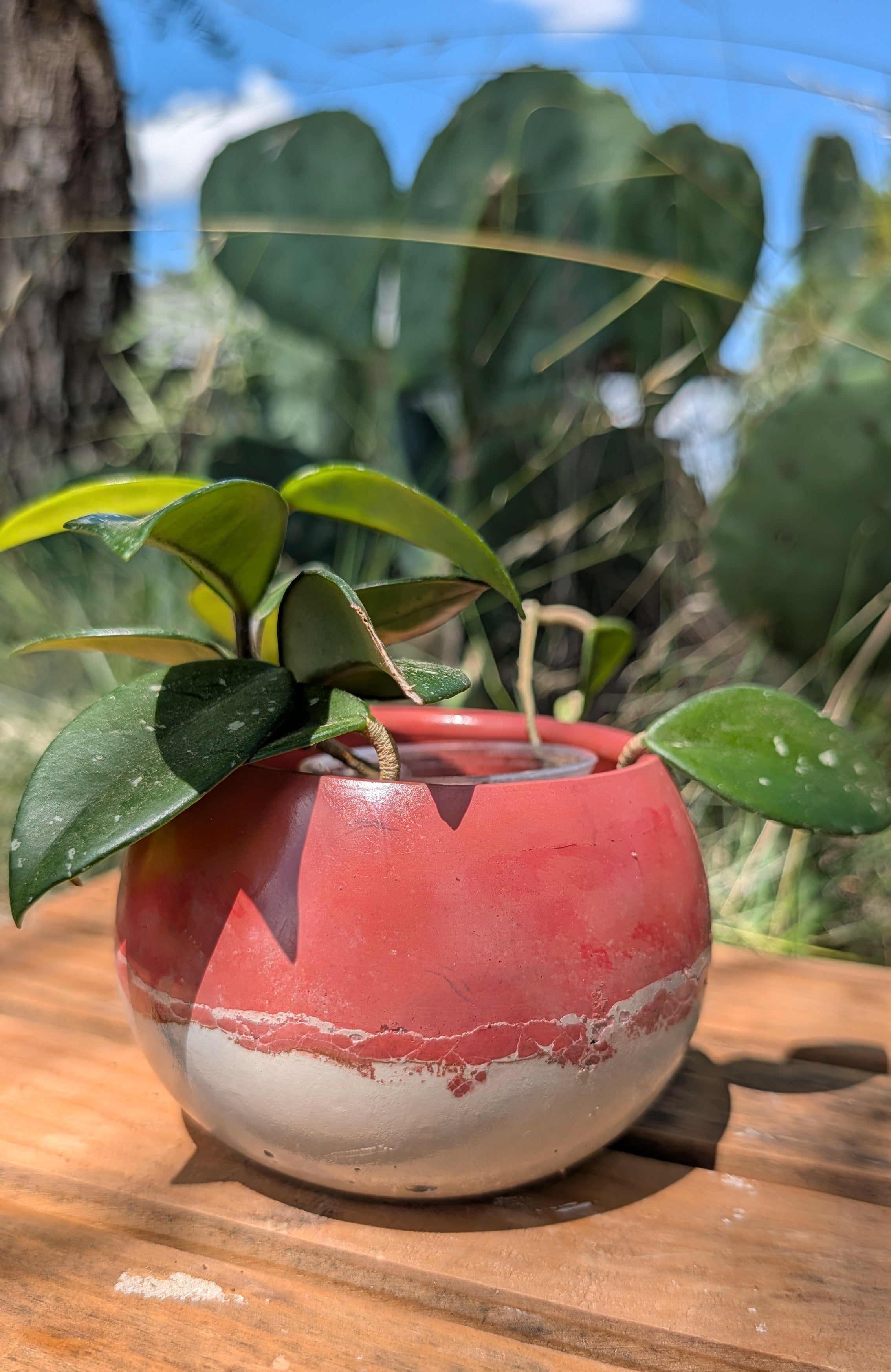 3.25” Terra Landing Concrete Globe Planter