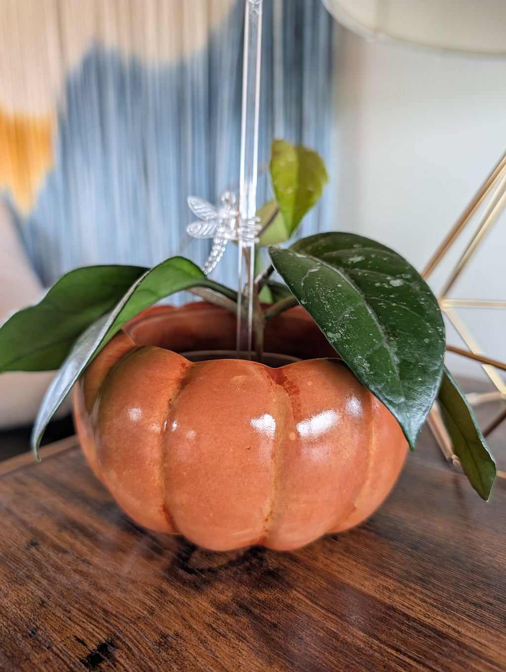 3"x5" Pumpkin Concrete Planter