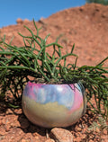 3.25” Nebula Globe Concrete Pot